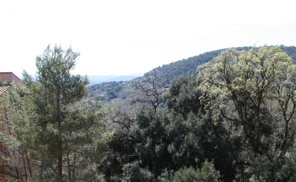 Paysage